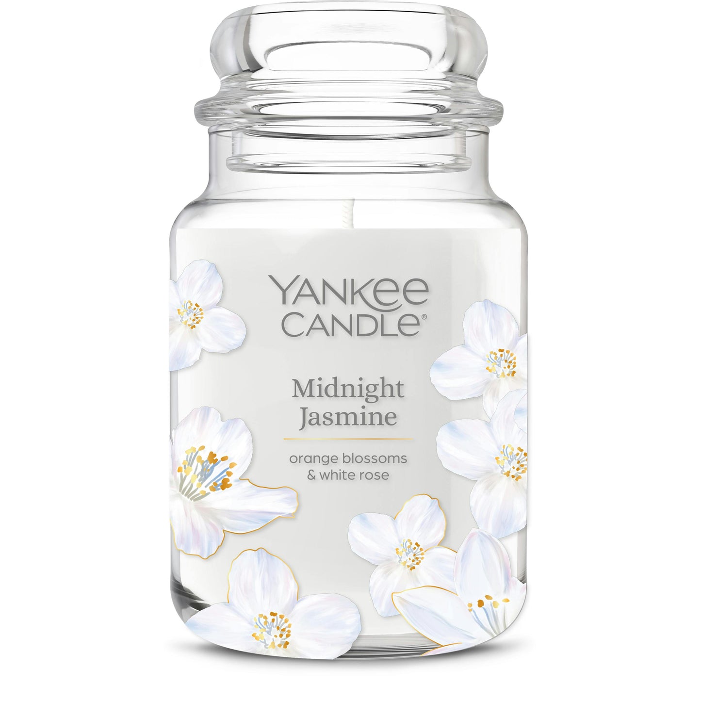 Midnight Jasmine