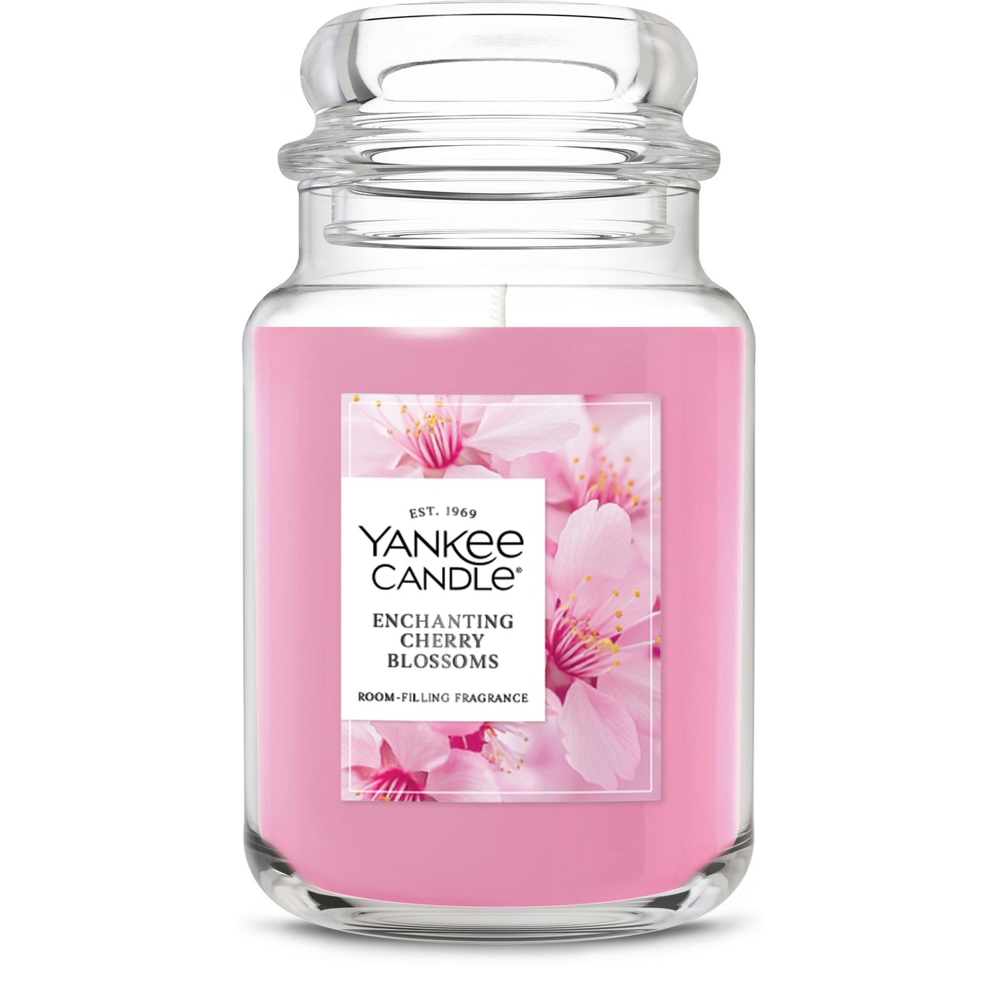 Enchanting Cherry  Blossoms