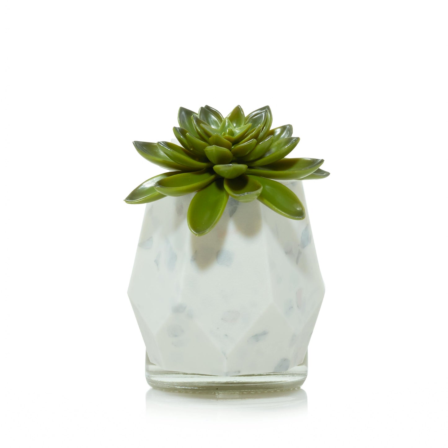 Faceted Succulent  ScentPlug® Diffuser with Light